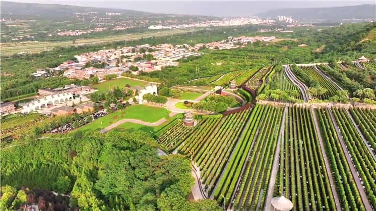西安霸陵墓園有哪些獨(dú)特的文化元素？