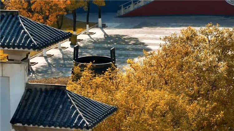 西安霸陵陵園新區(qū)如何體現(xiàn)對逝者的尊崇和敬意？
