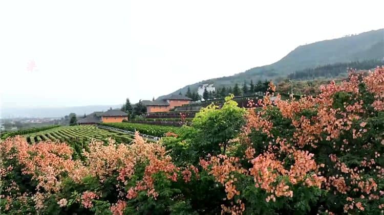 西安霸陵墓園新區(qū)在社會公益性方面有哪些貢獻(xiàn)？