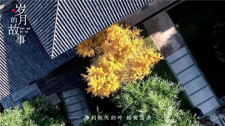 西安霸陵墓園的環(huán)境與服務(wù)？