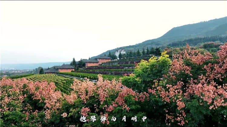 關于環(huán)保性，霸陵墓園如何做到減少對環(huán)境的影響？