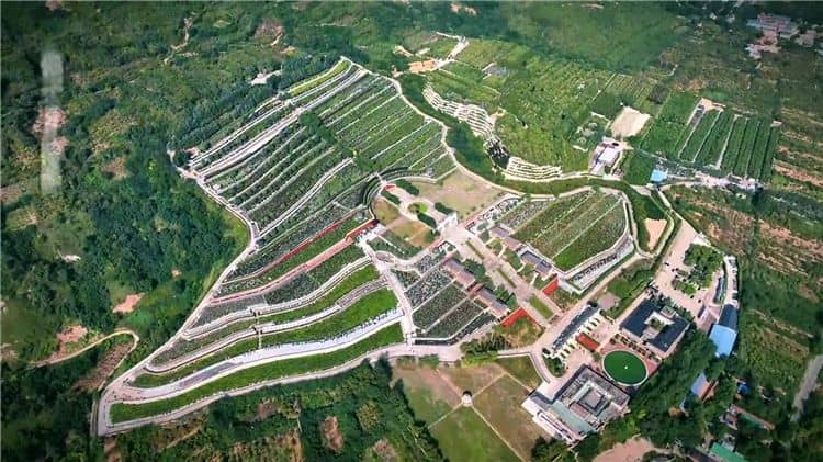 請問西安霸陵墓園的歷史背景是什么？
