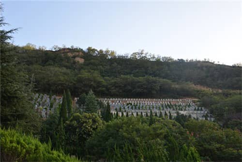 西安高橋墓園有哪些特色墓區(qū)，家屬如何根據(jù)個人喜好和需求選擇合適的墓區(qū)？