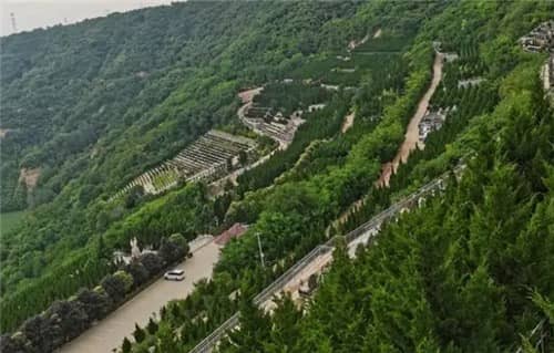 無(wú)家墳的具體位置與文化背景