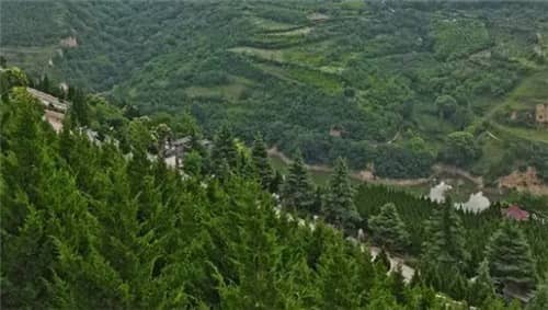 西安市高橋墓園有哪些區(qū)域？