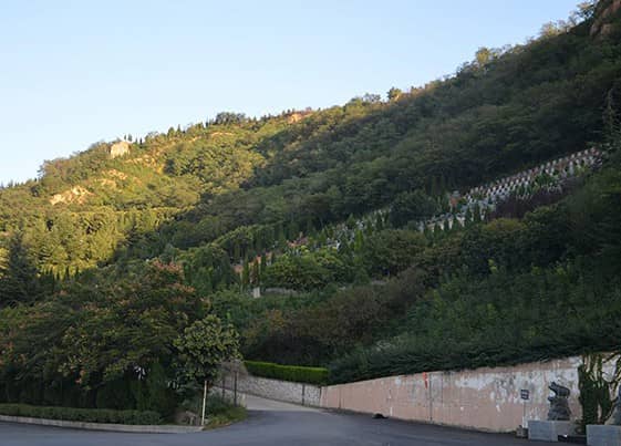 西安高橋墓園是在何時由哪個機構批準興建的，并且它的直接領導單位是誰？