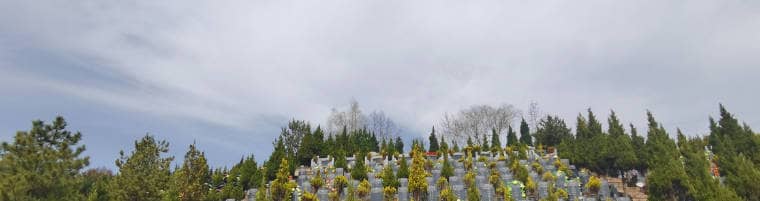 白鹿原墓園各區(qū)域墓地有哪些特點(diǎn)和選擇建議？