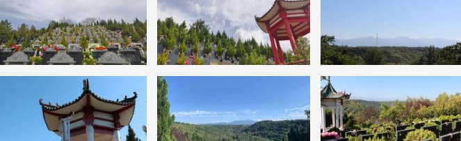 公墓是否允許拍攝照片或視頻留念？