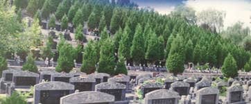 西安陵園排名？鳳凰嶺公墓介紹