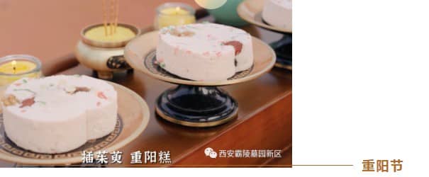 墓位續(xù)費(fèi)提醒與維護(hù)服務(wù)說(shuō)明