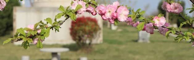 山水環(huán)繞,碑林如畫——鞍山蓮花公墓自然與人文之美