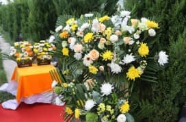 遷墳時祖先遺骸脊骨順序錯亂是否會影響風(fēng)水？科學(xué)解讀與民俗建議