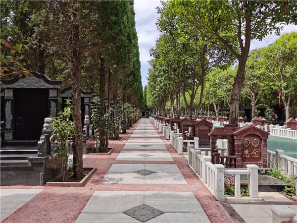 墓地坐西北朝東南好不好,方向