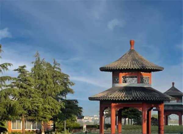 墓地選單號(hào)還是雙號(hào)