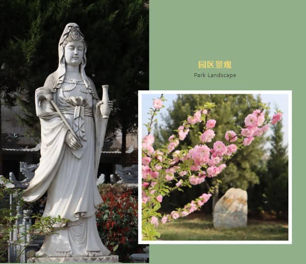 下葬和入葬有什么區(qū)別？
