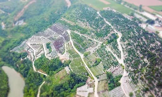 墓地20年到期后續(xù)費(fèi)怎么計(jì)算