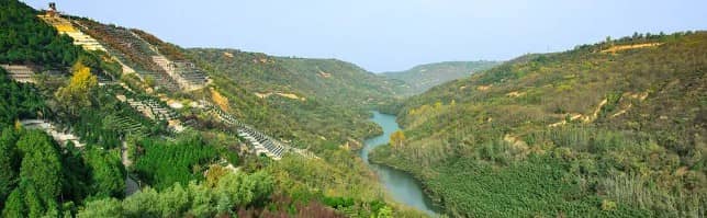 西安居民如何通過(guò)生前規(guī)劃來(lái)減少家庭紛爭(zhēng)并促進(jìn)家庭和諧？