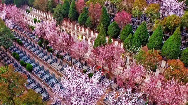 西安墓地一平方多少塊錢，買墓不怕被騙