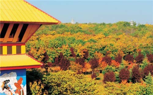 西安周邊哪里有陵園墓地，錯過等一年