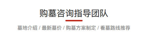 清明公祭活動(dòng)對(duì)社會(huì)道德風(fēng)尚的深遠(yuǎn)影響